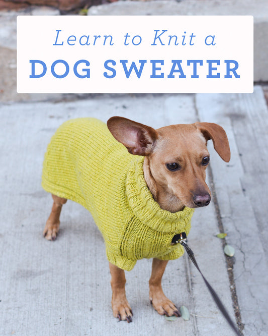 Learn to Knit a Dog Sweater