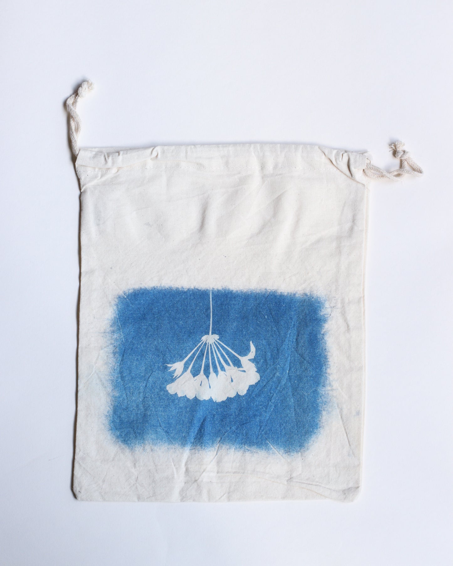 Cyanotype Project Bags