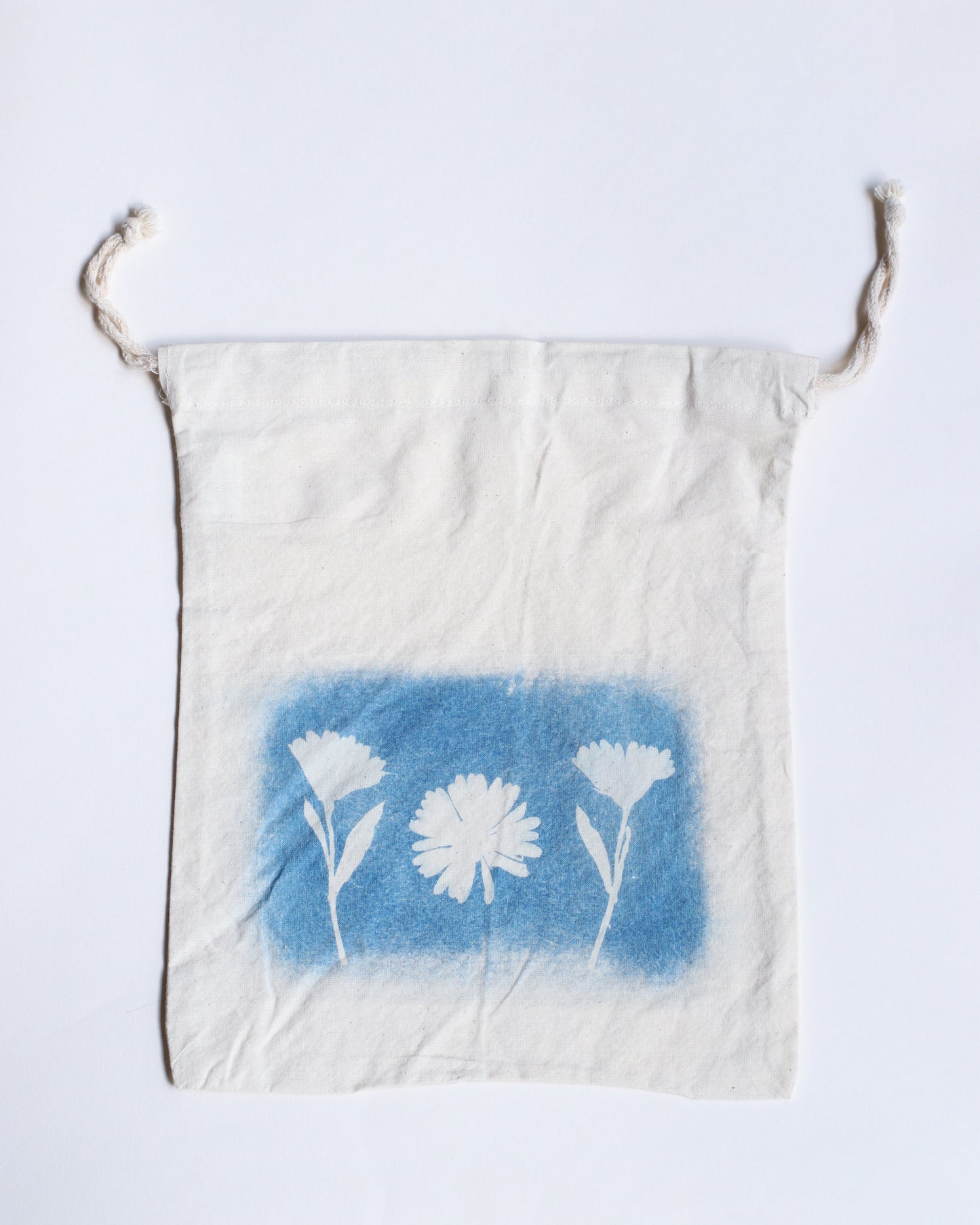 Cyanotype Project Bags