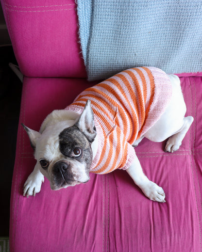 Knitted Dog Sweater Workshop