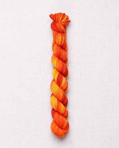 Leading Men Fiber Arts DK Mini Skeins