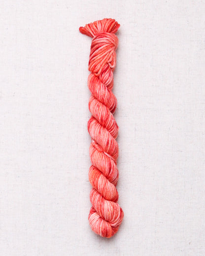 Leading Men Fiber Arts DK Mini Skeins