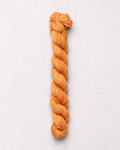 Leading Men Fiber Arts DK Mini Skeins