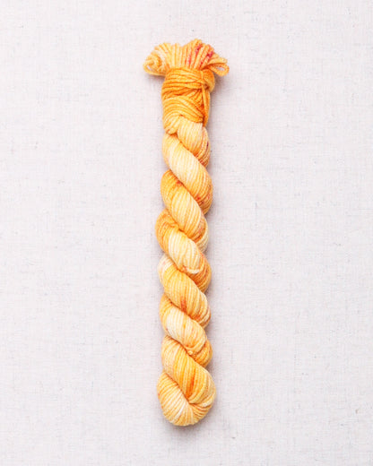 Leading Men Fiber Arts DK Mini Skeins