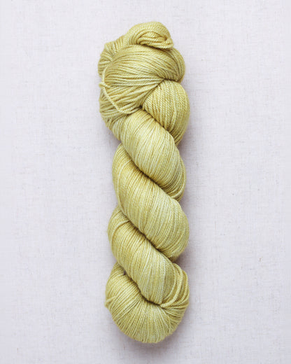 Madelinetosh Pashmina