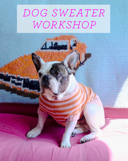 Knitted Dog Sweater Workshop